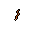 Worm